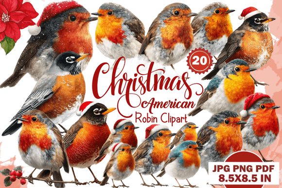 Christmas American Robin Clipart for Creatives